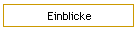 Einblicke